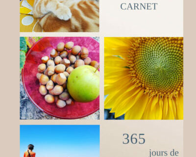 Mon carnet 365 jours de bonheur - Couverture