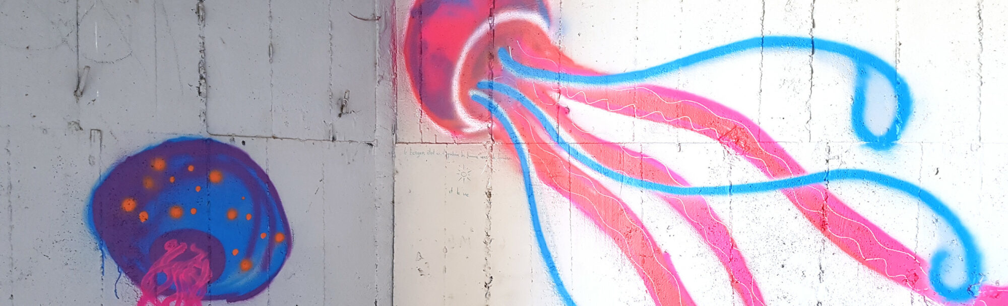 actualités 2021 Esther Jules graphe