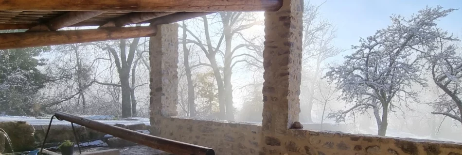 Nikki Terlon prix du public - Détail de photo